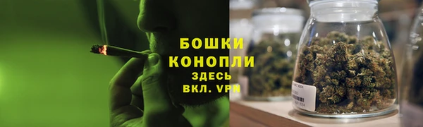 ГАЛЛЮЦИНОГЕННЫЕ ГРИБЫ Каменногорск
