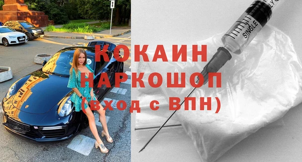 гидра Няндома