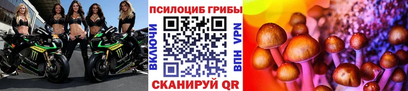 Псилоцибиновые грибы прущие грибы  kraken зеркало  Каргополь 