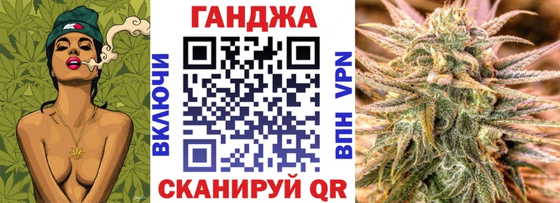 kraken как зайти  Каргополь  Каннабис сатива 